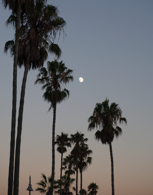 east coast